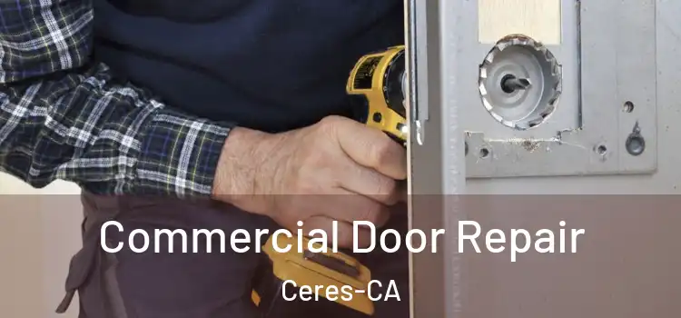  Commercial Door Repair Ceres-CA