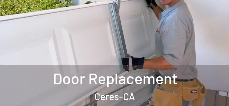  Door Replacement Ceres-CA