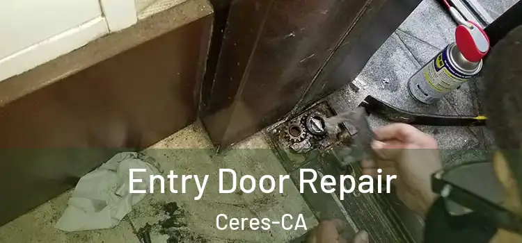  Entry Door Repair Ceres-CA