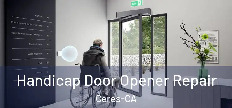  Handicap Door Opener Repair Ceres-CA