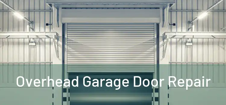  Overhead Garage Door Repair 